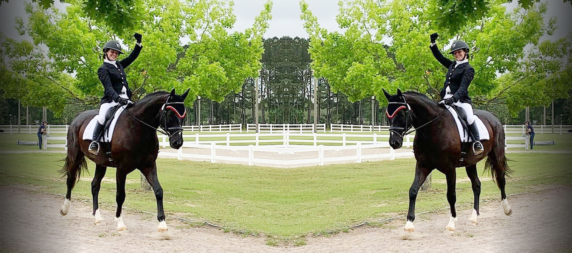 Horse bonnets